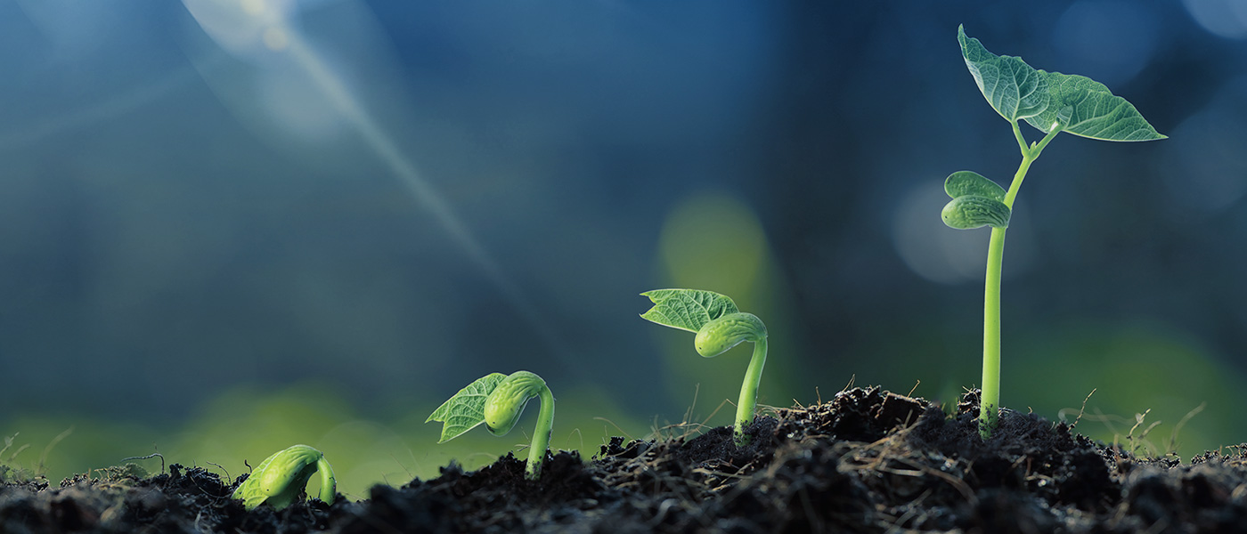 BETWAY������(����ķ��)�ٷ���վ-West Ham United